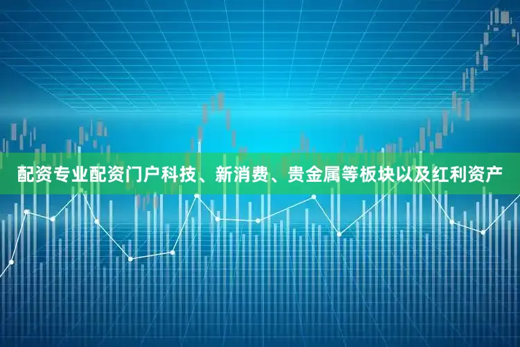 配资专业配资门户科技、新消费、贵金属等板块以及红利资产