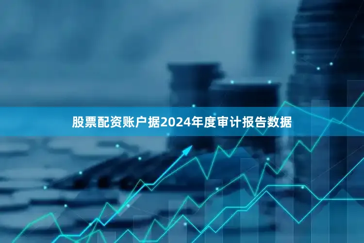 股票配资账户据2024年度审计报告数据