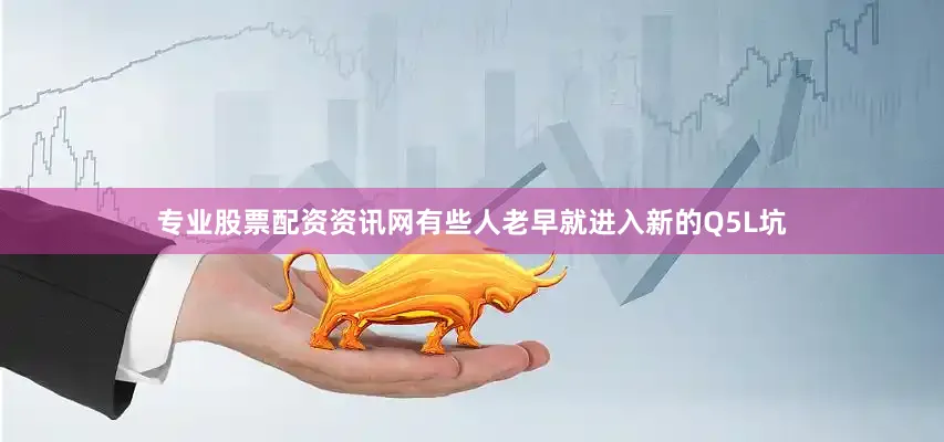 专业股票配资资讯网有些人老早就进入新的Q5L坑