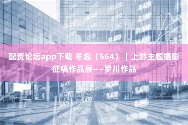 配资论坛app下载 冬趣（564）｜上游主题摄影征稿作品展——罗川作品